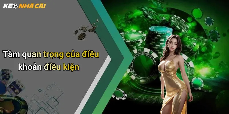 Tầm quan trọng của điều khoản điều kiện