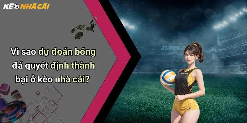 Vì sao dự đoán bóng đá quyết định thành bại ở kèo nhà cái?