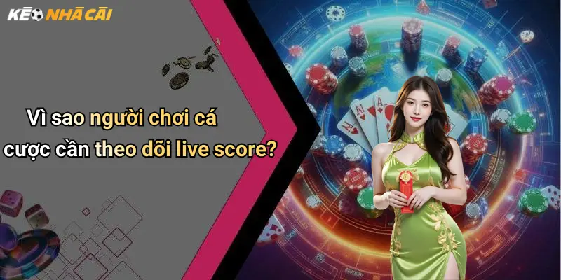 Vì sao người chơi cá cược cần theo dõi live score?