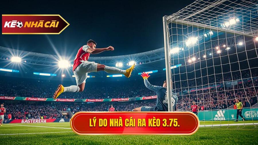 Lý do nhà cái ra kèo 3.75