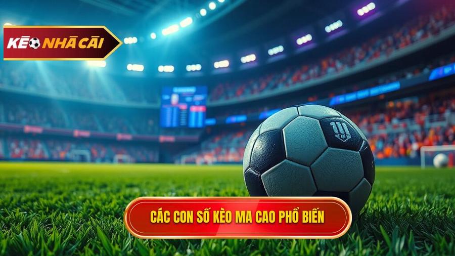 Các con số phổ biến trong Kèo bóng đá Ma Cao
