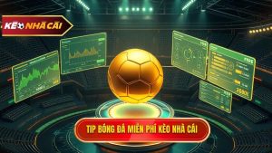 Tip bóng đá miễn phí: Cẩm nang toàn tập để làm chủ cuộc chơi cá cược