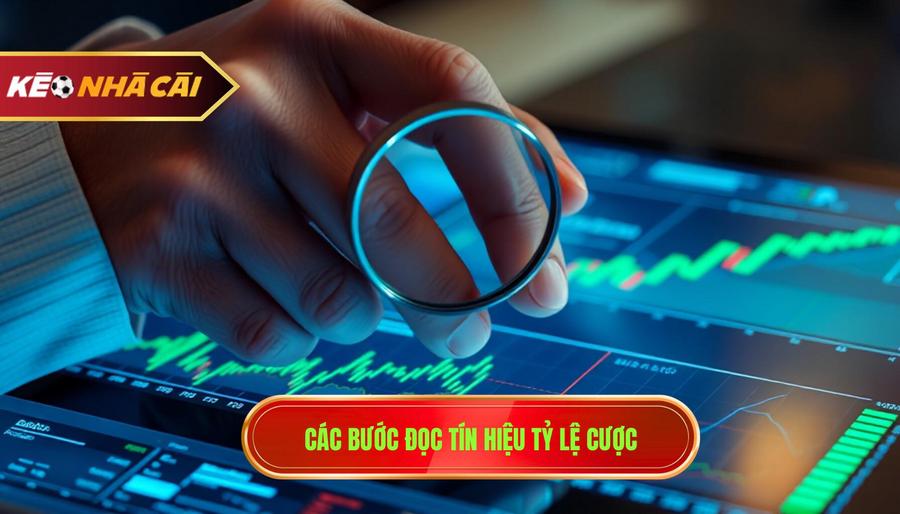 Các bước cơ bản trong cách đọc tín hiệu từ tỷ lệ cược