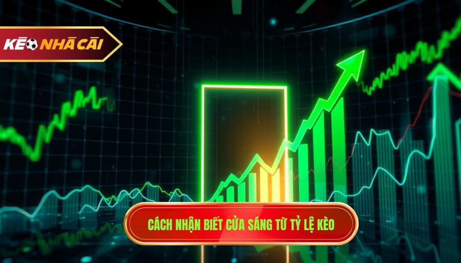 Cách Nhận Biết Cửa Sáng Trong Cá Độ Bóng Đá Chuẩn Xác 100% 2 Cách nhận biết cửa sáng qua biến động tỷ lệ kèo
