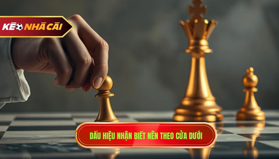 Khi nào nên theo cửa dưới? Bí quyết soi kèo từ chuyên gia KÈO NHÀ CÁI 2 Phân tích đa chiều: Các kịch bản cụ thể để chọn cửa dưới