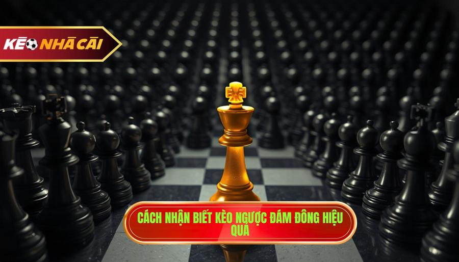 Kinh nghiệm bắt kèo ngược đám đông: Bí quyết thắng lớn từ KÈO NHÀ CÁI 3 Các dấu hiệu nhận biết để bắt kèo ngược đám đông hiệu quả