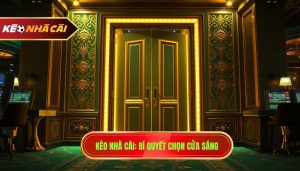 Cách Nhận Biết Cửa Sáng Trong Cá Độ Bóng Đá Chuẩn Xác 100%
