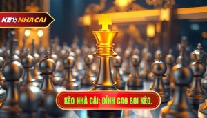 Kinh nghiệm bắt kèo ngược đám đông: Bí quyết thắng lớn từ KÈO NHÀ CÁI