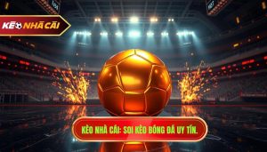 Những trận đấu dễ xuất hiện bất ngờ: Bí quyết soi kèo từ chuyên gia